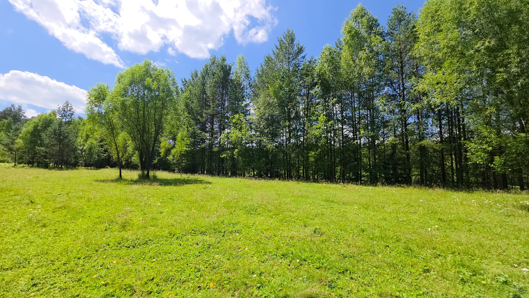 Купить Участок 22.36 соток (ИЖС 3/9 - Т) земельные участки Горного Алтая