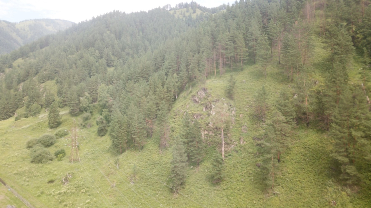 Панорамный курорт «Водный мир Алтая»