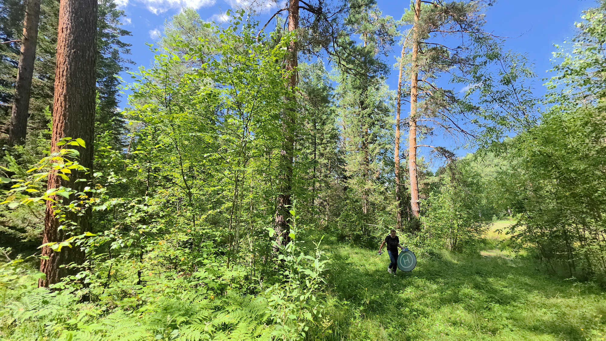 Купить Участок 17.89 соток (ИЖС 3/46 - Т) земельные участки Горного Алтая