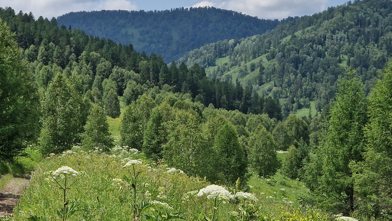 2022-07-01_12-51-18.JPG
