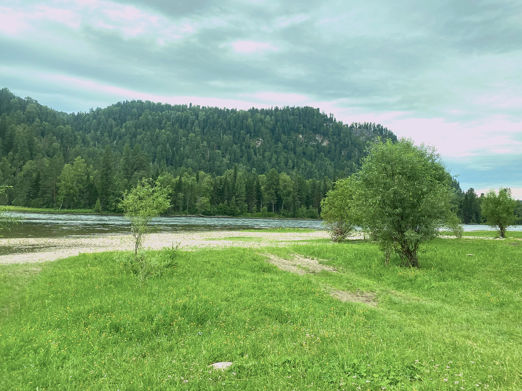 Участок 30 соток  — (ИЖС 3/50 - Т)