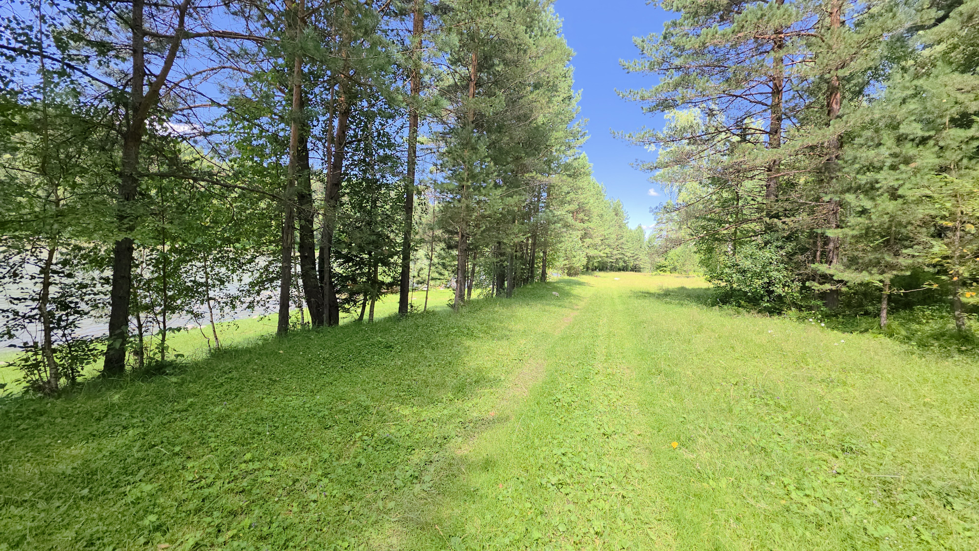 Купить Участок 21.69 соток (ИЖС 3/5 - Т) земельные участки Горного Алтая