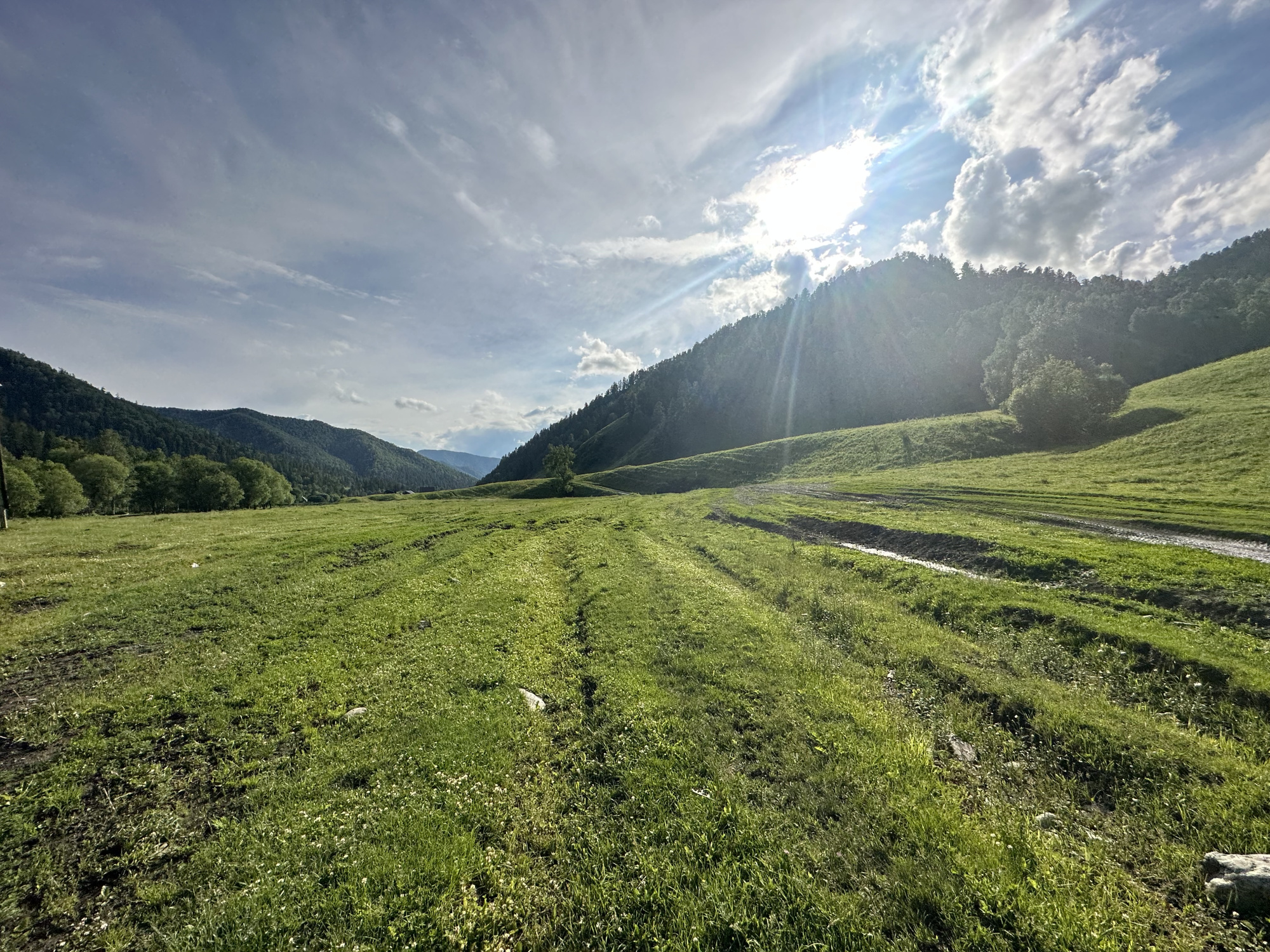 Купить Участок 34.1 соток (9-К2) земельные участки Горного Алтая